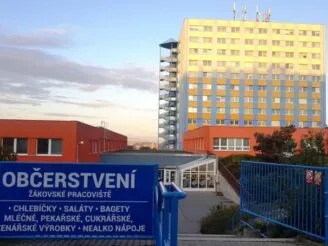 Organizace školního roku